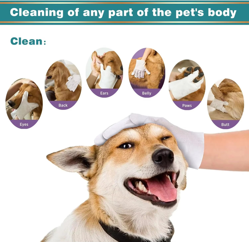 Convenient Pet Wipe Gloves Non Woven Dog Wipes Gloves Portable Safe Gentle Ingredients