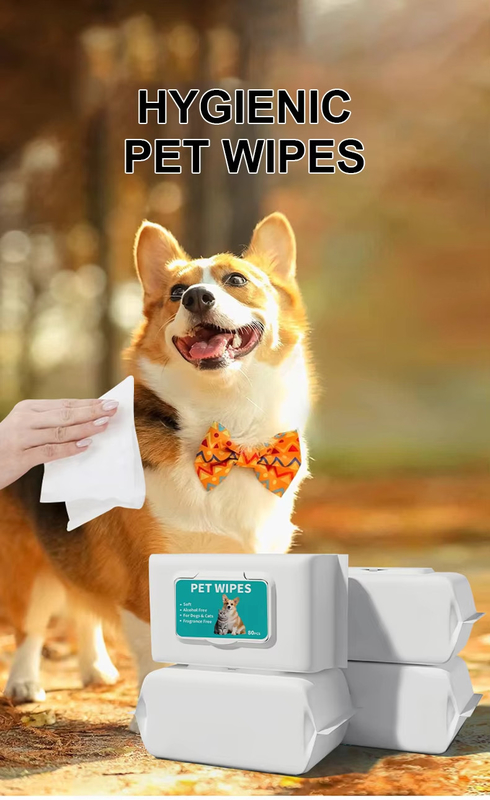 Soft Pet Wet Wipes OEM ODM Dog Wet Wipes For Cleaning Dogs Paw Face Eye