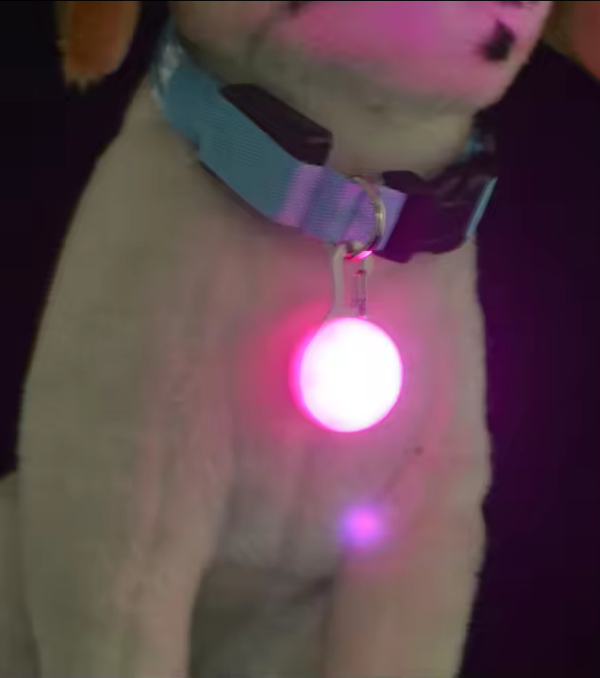 Customized Flashing Dog Collar Tags Red / Blue / Yellow / Green Flashing Safety Lights For Dogs